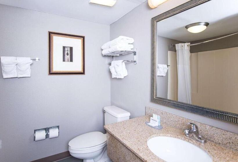 Номер Стандарт 2 Двуспальные Кровати, Clarion Hotel & Conference Center Leesburg