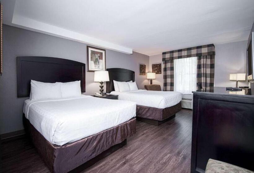 Номер Стандарт 2 Двуспальные Кровати, Clarion Hotel & Conference Center Leesburg