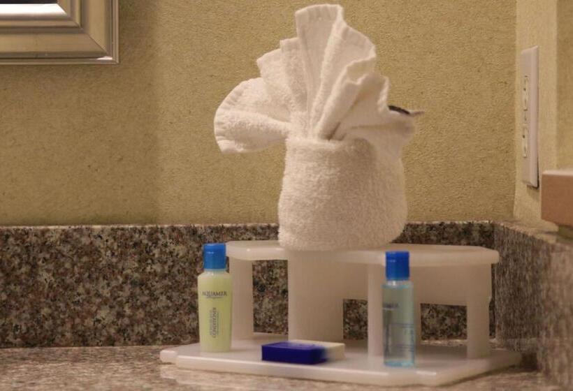 Люкс Кровать Кинг, Best Western Galleria Inn & Suites