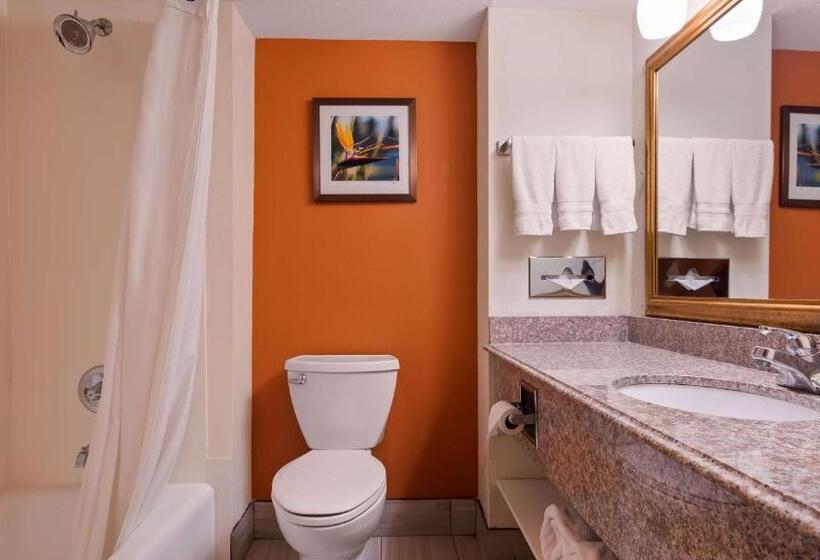 Стандартный Номер Кровать Кинг, Best Western Plus Rockwall Inn & Suites