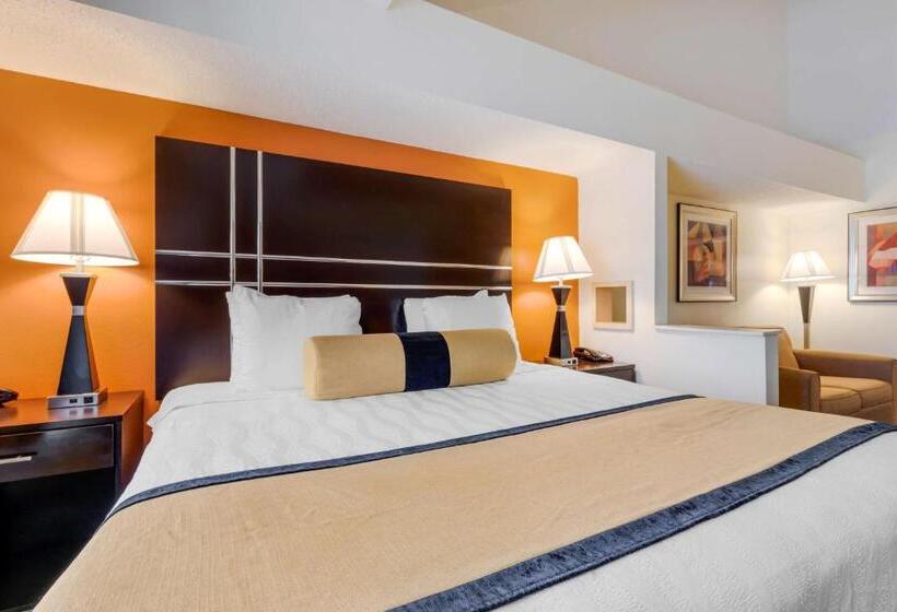 Полулюкс Кровать Кинг, Best Western Plus Rockwall Inn & Suites