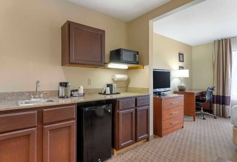 Люкс, Comfort Inn & Suites Black River Falls I94