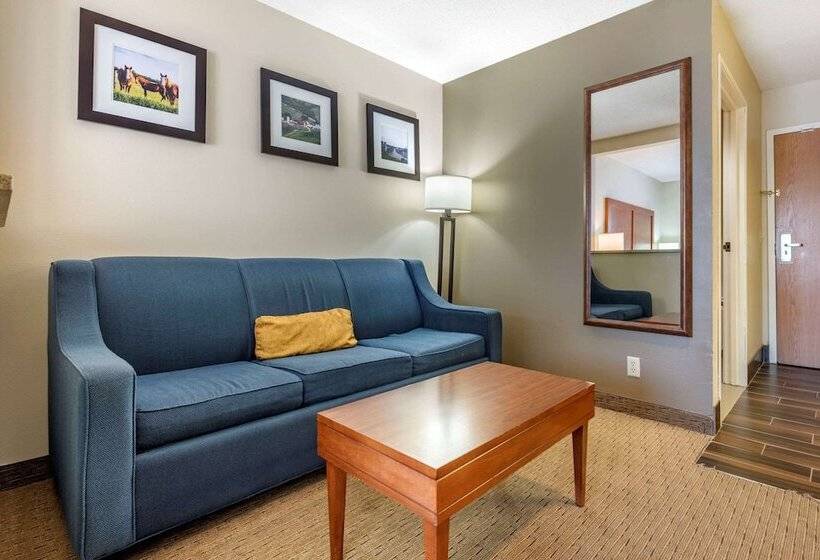 Люкс, Comfort Inn & Suites Black River Falls I94