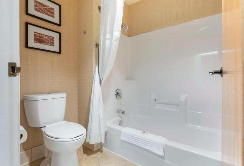 Стандартный Номер Кровать Кинг, Comfort Inn & Suites Black River Falls I94