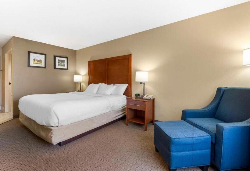 Номер Стандарт Кровать Кинг Адаптированный для Инвалидов, Comfort Inn & Suites Black River Falls I94