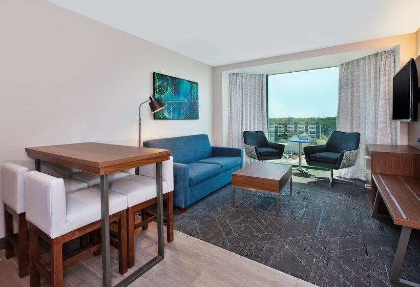 سوییت, Holiday Inn Express Hotel & Suites Virginia Beach Oceanfront, An Ihg
