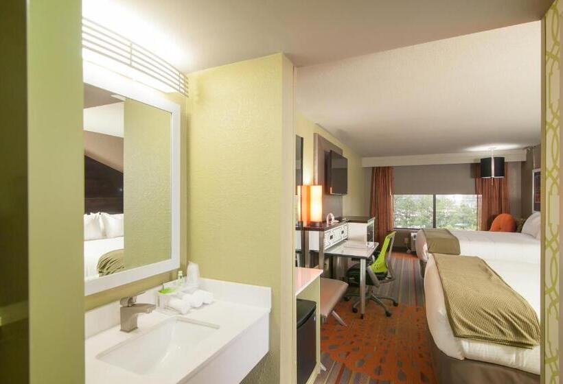 适合残疾人使用的标准间, Holiday Inn Express Atlanta Galleria Ballpark Area, An Ihg
