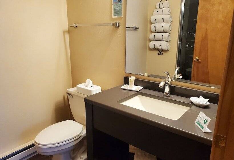 스탠다드 룸, Homestead Suites   Fish Creek