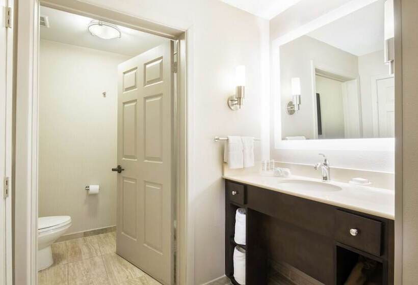 スイート, Homewood Suites By Hilton Austinsouth/airport