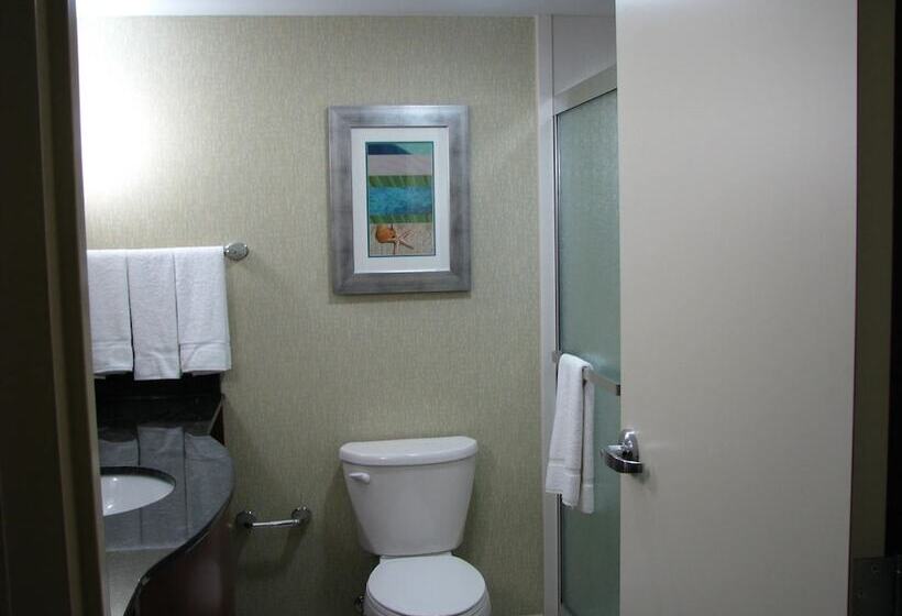 اتاق استاندارد با تخت دوبل, Holiday Inn & Suites Virginia Beach   North Beach, An Ihg