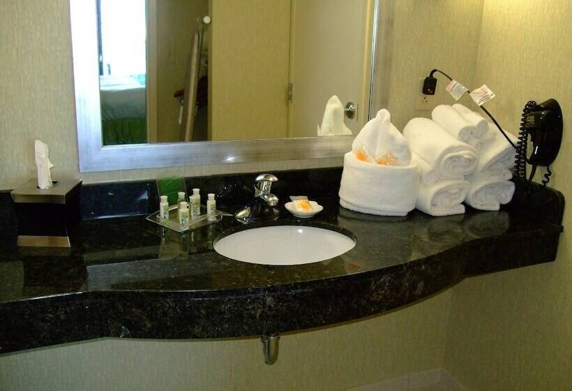 سوییت با چشم‌انداز دریا, Holiday Inn & Suites Virginia Beach   North Beach, An Ihg