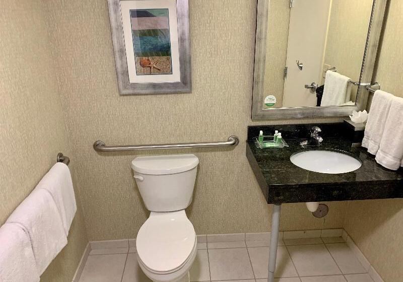 اتاق استاندارد با تخت بزرگ برای معلولان, Holiday Inn & Suites Virginia Beach   North Beach, An Ihg
