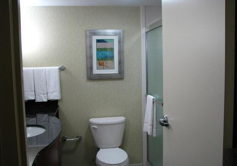 اتاق استاندارد با تخت بزرگ, Holiday Inn & Suites Virginia Beach   North Beach, An Ihg