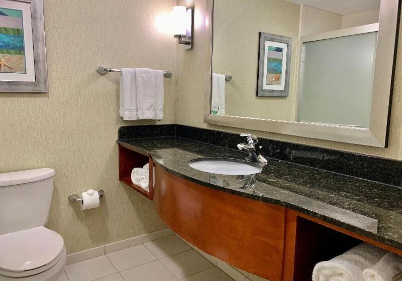 اتاق استاندارد با تخت بزرگ, Holiday Inn & Suites Virginia Beach   North Beach, An Ihg