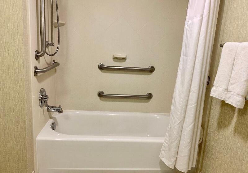 اتاق استاندارد برای معلولان, Holiday Inn & Suites Virginia Beach   North Beach, An Ihg