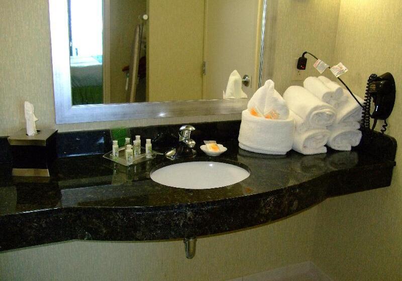 سوییت با چشم‌انداز دریا, Holiday Inn & Suites Virginia Beach   North Beach, An Ihg