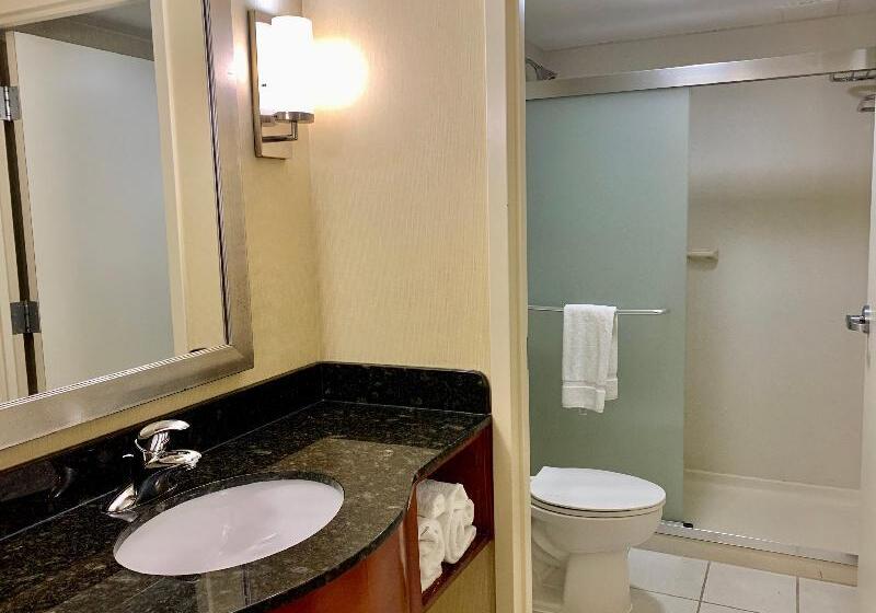اتاق استاندارد با چشم‌انداز دریا, Holiday Inn & Suites Virginia Beach   North Beach, An Ihg