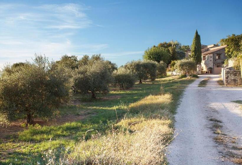 Апартаменты Superior 1 Спальня, Domaine Les Petites Vaines
