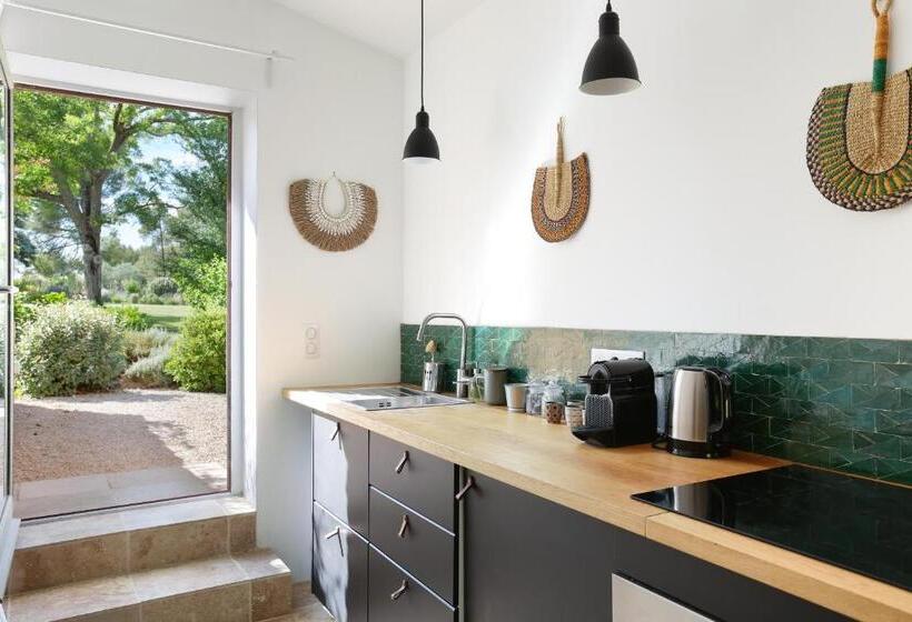 Апартаменты 1 Спальня, Domaine Les Petites Vaines