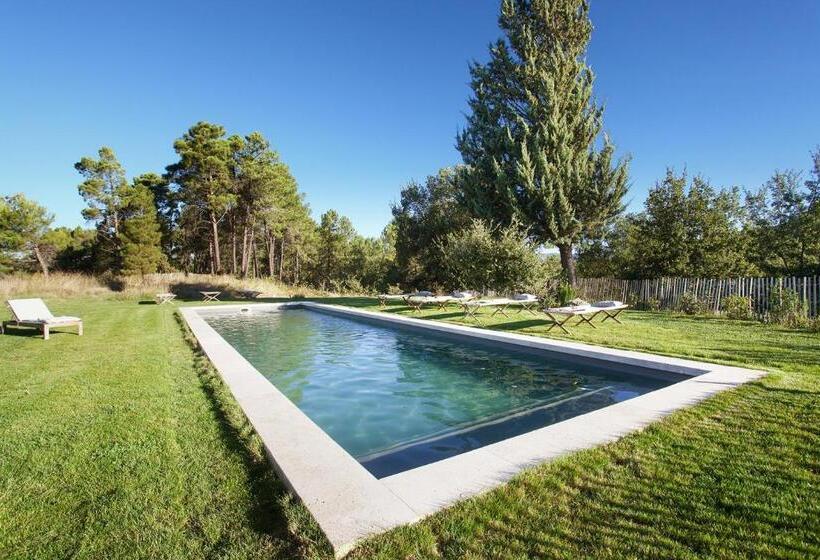 Апартаменты Superior 1 Спальня, Domaine Les Petites Vaines