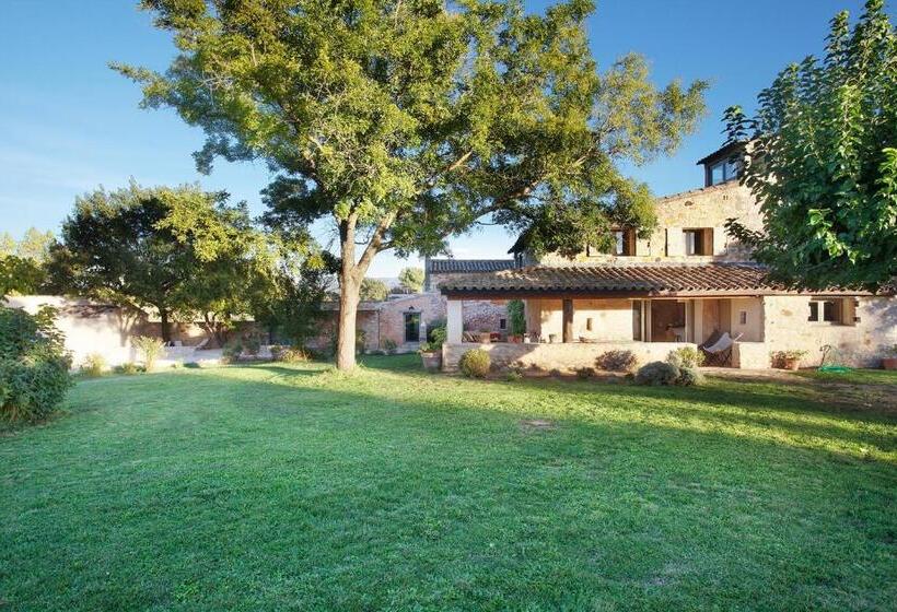 Апартаменты Deluxe 1 Спальня, Domaine Les Petites Vaines