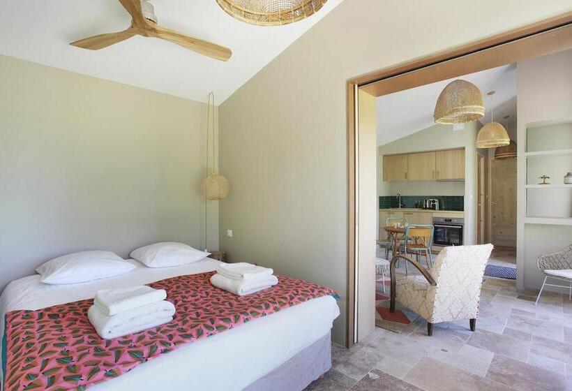 Апартаменты Deluxe 1 Спальня, Domaine Les Petites Vaines