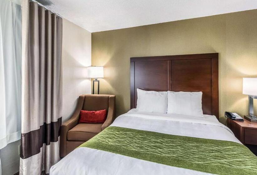 Номер Стандарт, Comfort Inn Medfordlong Island