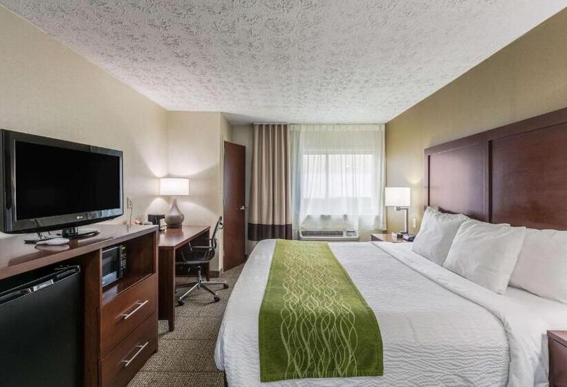 Номер Стандарт Кровать Кинг Адаптированный для Инвалидов, Comfort Inn Medfordlong Island