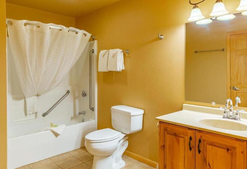 Номер Executive, Lodge At Palmer Gulch