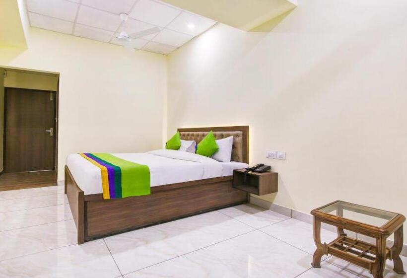 豪华房间, Itsy Hotels Oasis Inn