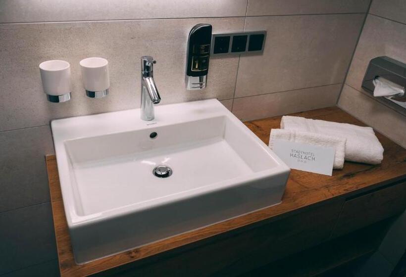 스탠다드 룸, Stadthotel Haslach