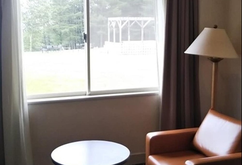 Номер Стандарт Индивидуальный, Villa The Club Karuizawa