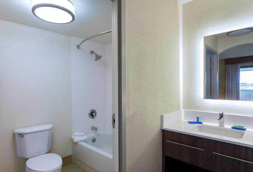 스위트 킹사이즈 침대, Holiday Inn Express Hotel & Suites King Of Prussia, An Ihg