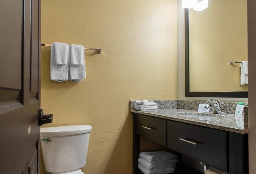سوییت, Mainstay Suites Pittsburgh Airport