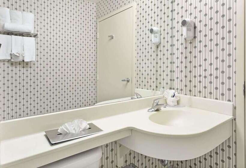 חדר סטנדרט, Microtel Inn & Suites By Wyndham Denver Airport