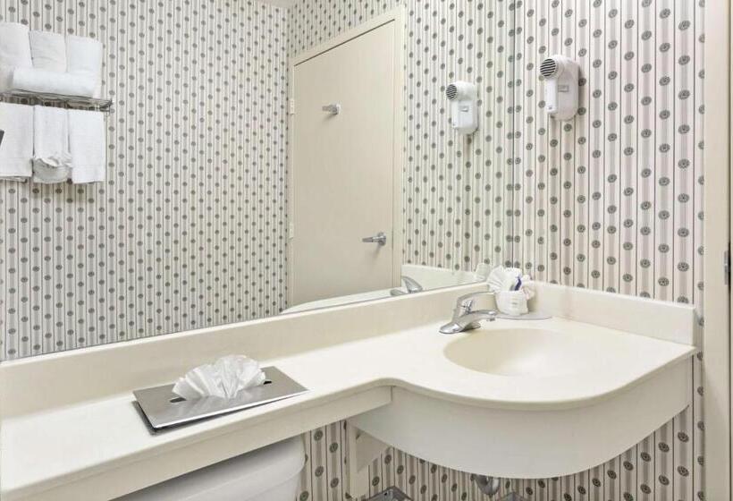 חדר סטנדרט עם מיטת קינג, Microtel Inn & Suites By Wyndham Denver Airport