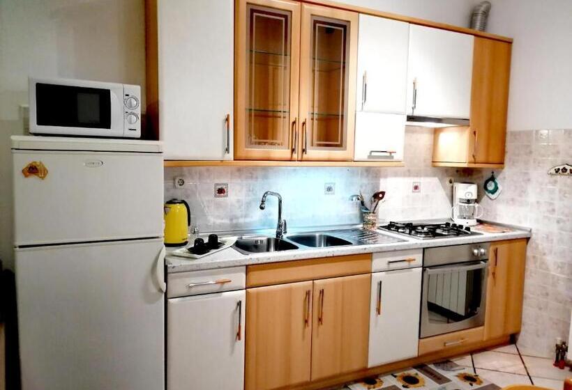 آپارتمان 1 خوابه با تراس, Guests House Lea