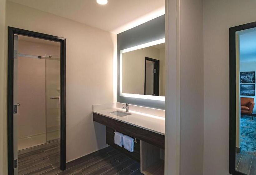 Стандартный Номер Кровать Кинг, The Ellsworth Hotel, Ascend Hotel Collection