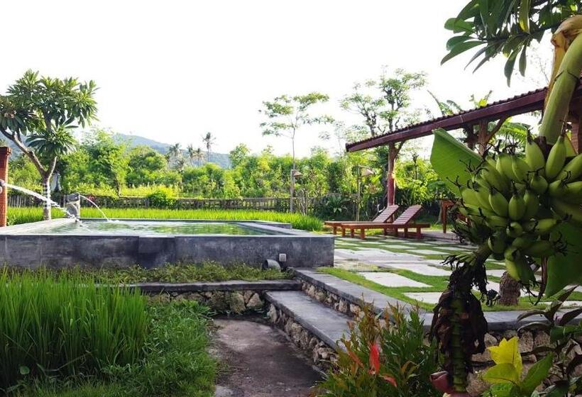 Номер Deluxe Вид на Горы, Umma Bali Menjangan Retreat