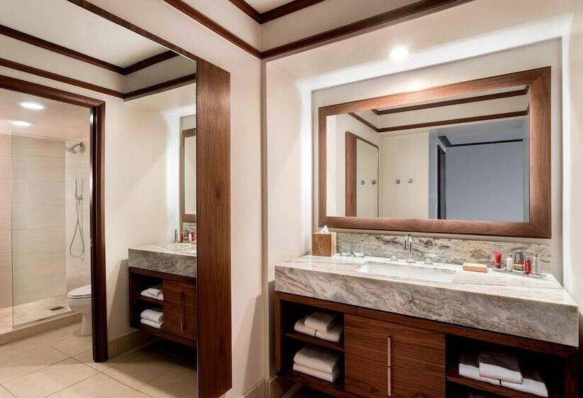 스탠다드 룸 가든 전망, Wailea Beach Resort  Marriott, Maui