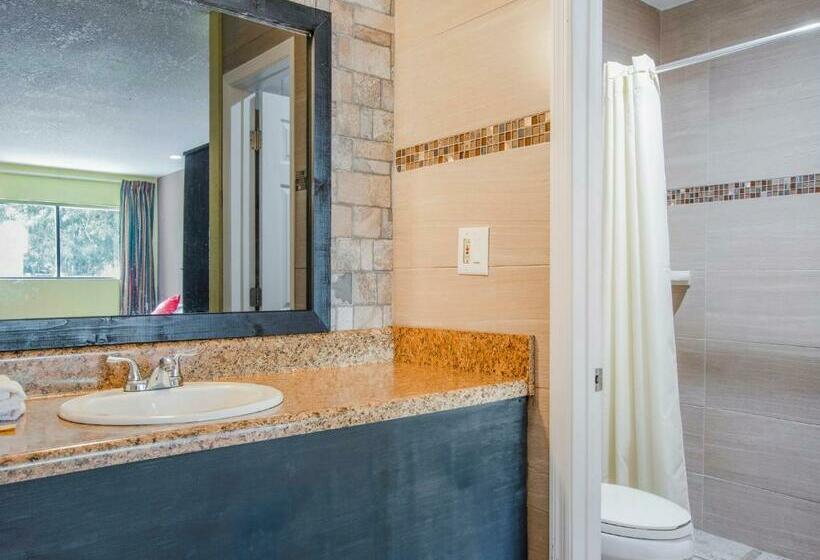 חדר סטנדרט שתי מיטות זוגיות, Oyo Superior Budget Inn Bartow
