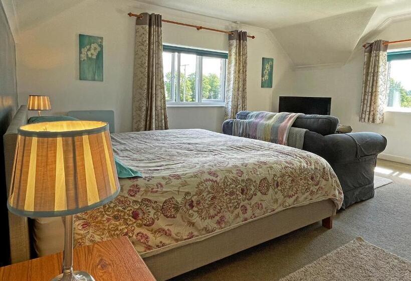 Стандартный Номер Кровать Кинг, Maesyfelin Isaf B&b