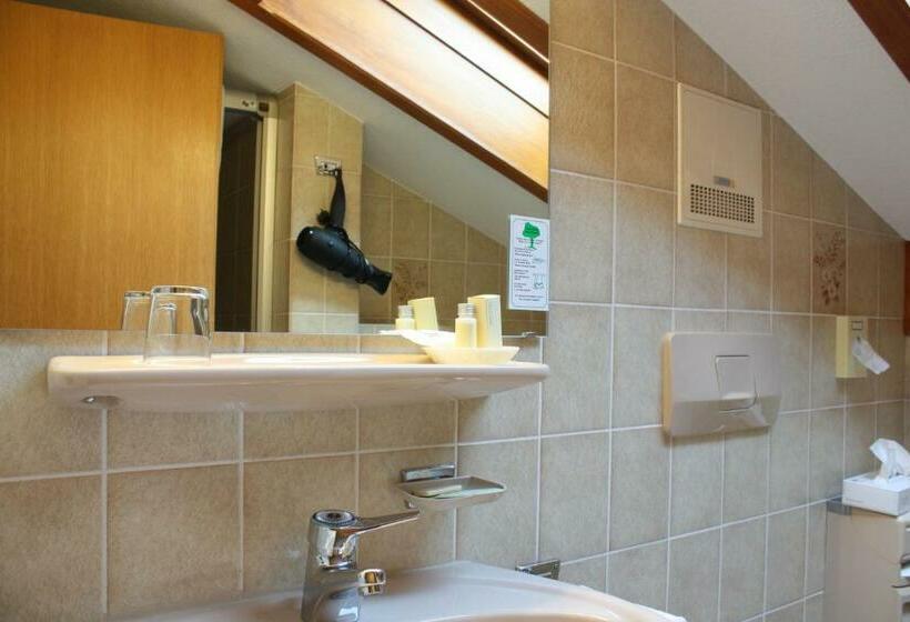 Номер Стандарт Индивидуальный, Alpenhotel Bergzauber