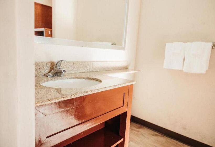 Номер Deluxe, Reidsville Inn & Suites