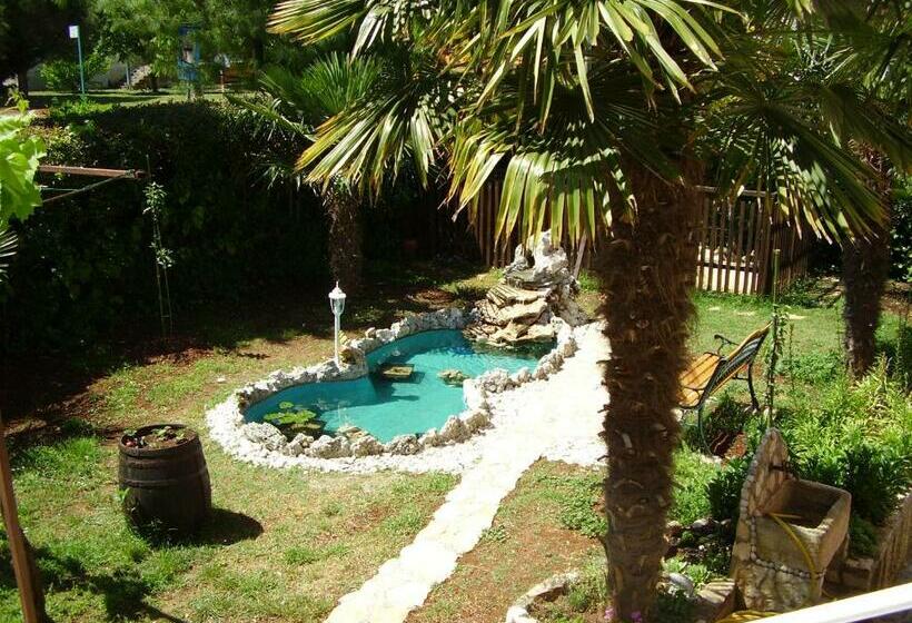 غرفة قياسية, Apartment & Rooms Graciela