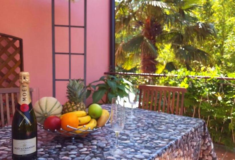 غرفة قياسية, Apartment & Rooms Graciela