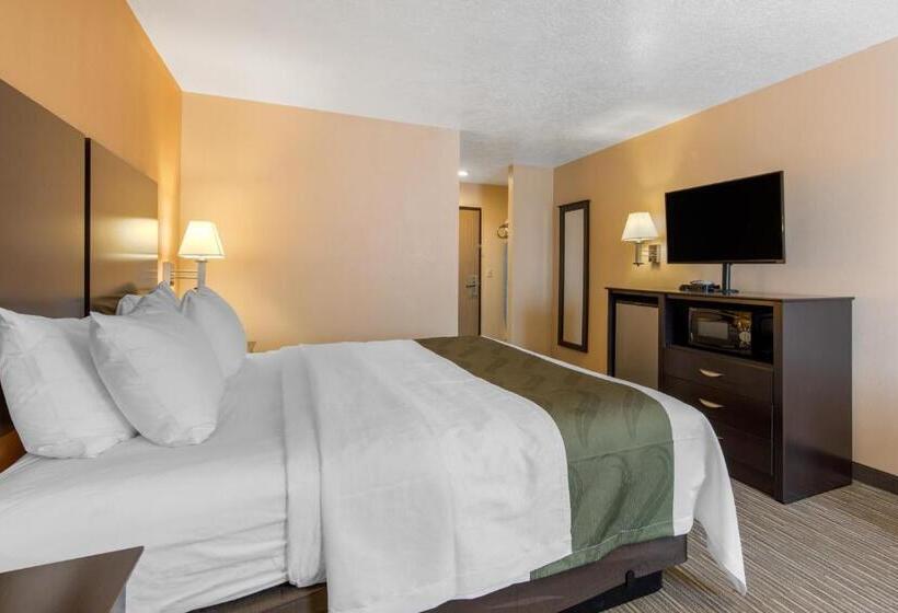 Стандартный Номер Кровать Кинг, Quality Inn & Suites Albuquerque North Near Balloon Fiesta Park