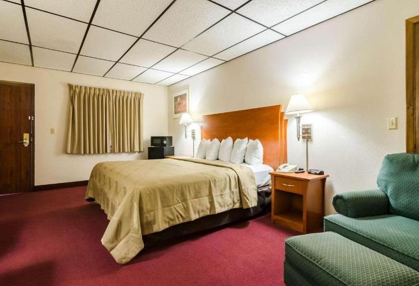 스탠다드 룸 킹사이즈 침대, Quality Inn & Suites Salina