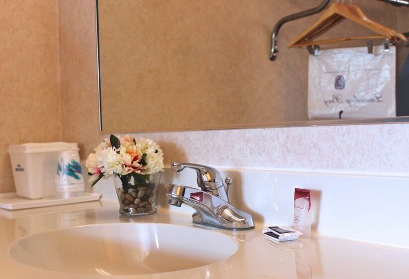 Номер Стандарт 2 Двуспальные Кровати, Regency Inn Richmond