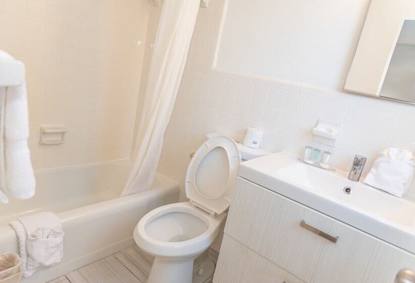 带大床的套房, Regency Inn & Suites Sarasota